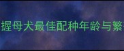 科学掌握母犬最佳配种年龄与繁殖技巧
