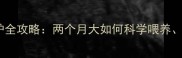 黑色拉布拉多幼犬养护全攻略两个月大如何科学喂养疫苗及行为训练指南