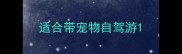 适合带宠物自驾游