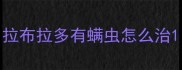 拉布拉多有螨虫怎么治