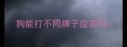狗能打不同牌子疫苗吗