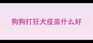 狗狗打狂犬疫苗什么好