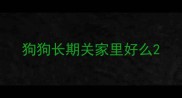 狗狗长期关家里好么