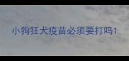 小狗狂犬疫苗必须要打吗