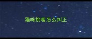 猫咪挑嘴怎么纠正