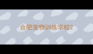 合肥宠物训练学校