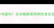 金毛能吃炒鸡蛋吗全攻略解答狗狗饮食安全与营养搭配