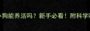 30天大的小狗能养活吗新手必看附科学喂养全攻略