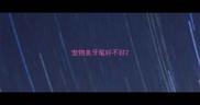 宠物美牙笔好不好