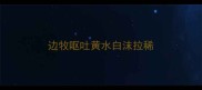 边牧呕吐黄水白沫拉稀