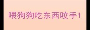 喂狗狗吃东西咬手