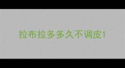 拉布拉多多久不调皮