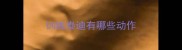 训练泰迪有哪些动作