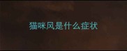 猫咪风是什么症状