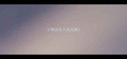 小狗出生几天拉屎