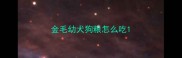 金毛幼犬狗粮怎么吃