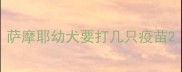 萨摩耶幼犬要打几只疫苗