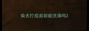 柴犬打疫苗前能洗澡吗
