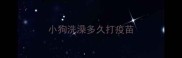 小狗洗澡多久打疫苗