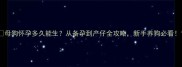 母狗怀孕多久能生从备孕到产仔全攻略新手养狗必看
