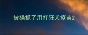 被猫抓了用打狂犬疫苗