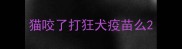 猫咬了打狂犬疫苗么
