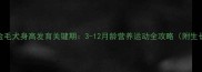 柯基边牧金毛犬身高发育关键期3-12月龄营养运动全攻略附生长曲线表