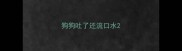 狗狗吐了还流口水