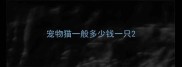 宠物猫一般多少钱一只