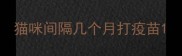 猫咪间隔几个月打疫苗