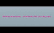 猫咪脚骨折紧急处理指南专业兽医推荐的用药方案与康复护理全
