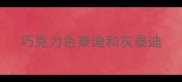 巧克力色泰迪和灰泰迪