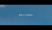 贵宾几个月剪胎毛