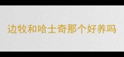 边牧和哈士奇那个好养吗
