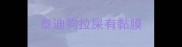 泰迪狗拉屎有黏膜