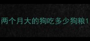 两个月大的狗吃多少狗粮
