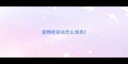 宠物收容站怎么领养