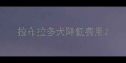 拉布拉多犬降低费用