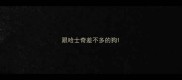 跟哈士奇差不多的狗