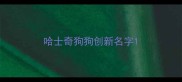 哈士奇狗狗创新名字
