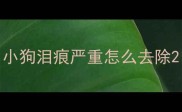 小狗泪痕严重怎么去除