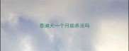 泰迪犬一个月能养活吗