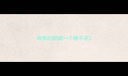 狗狗的眼睛一个睁不开