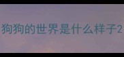 狗狗的世界是什么样子