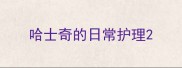 哈士奇的日常护理