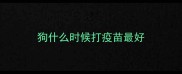 狗什么时候打疫苗最好