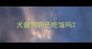 犬瘟狗狗还吃饭吗