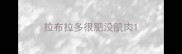 拉布拉多很肥没肌肉