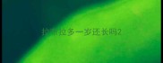 拉布拉多一岁还长吗
