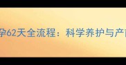 拉布拉多怀孕62天全流程科学养护与产前准备指南
